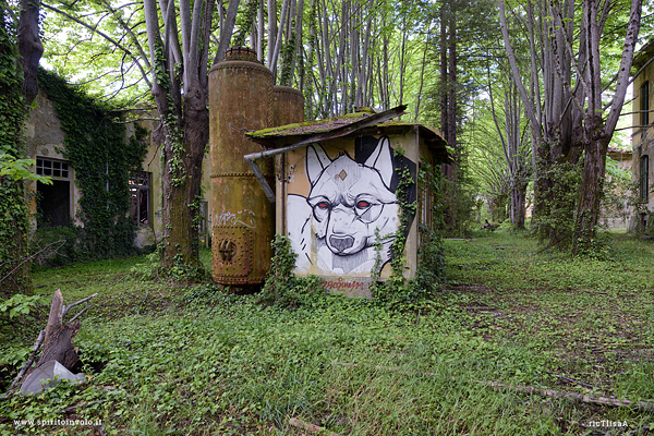 Graffito su edificio della fabbrica Nobel nel bosco