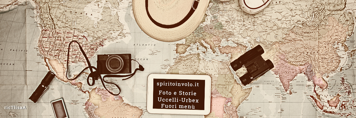 Mappa del mondo con accessori per viaggiare