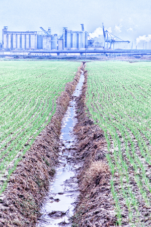 Campi coltivati ed industria