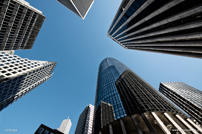 San Francisco ed i suoi Grattacieli visti dal basso