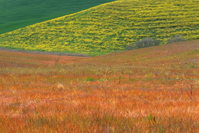 Campi nella campagna Toscana