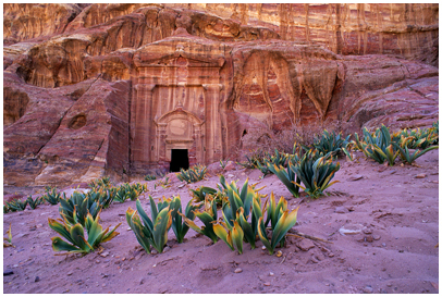 Tomda nella vittà di Petra all'alba