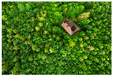 Casa abbandonata nel bosco vista dal drone