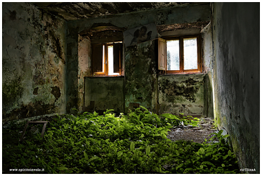 Fotografia di una stanza con erba sul pavimento