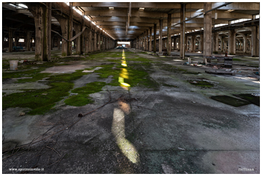 Capannone delle ceramiche Vaccari