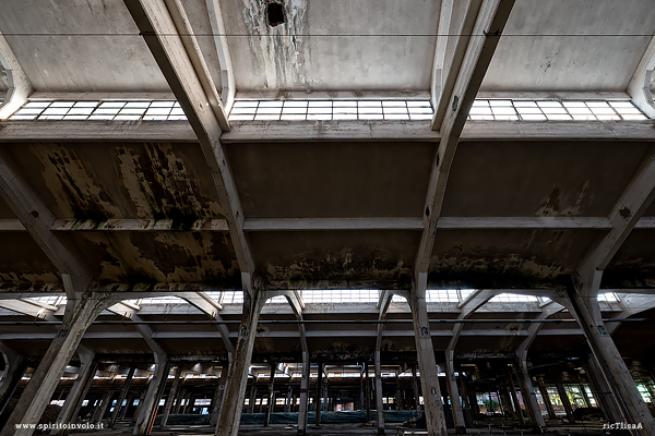 Colonne di cemento nel capannone della fabbrica di ceramica Vaccari
