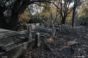 Sentiero tra le tombe abbandonate nel cimitero della castagna
