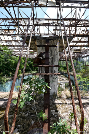 Le scale del trampolino della piscina abbandonata
