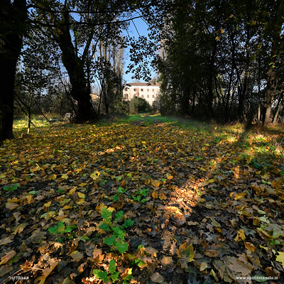 Il viale che porta a Villa Campari