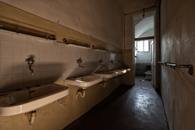 Lavandini dentro la villa delle suore